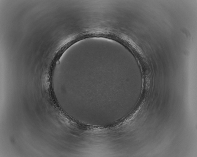 X0000111801213200908201146
