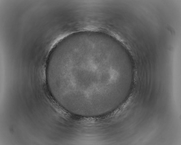 X0000111801214200908201146