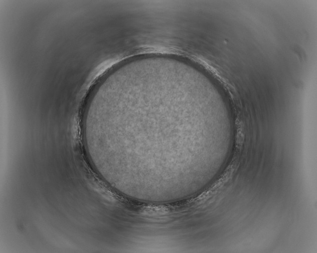X0000111801215200908201146