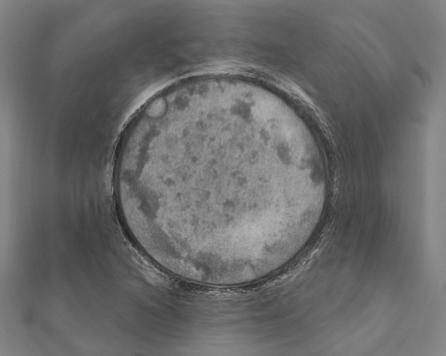 X0000111801216200908201146