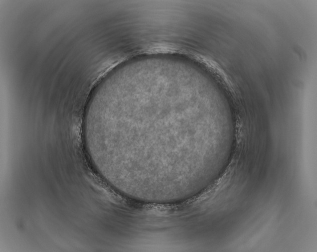 X0000111801217200908201146
