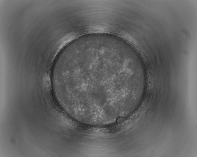 X0000111801218200908201146