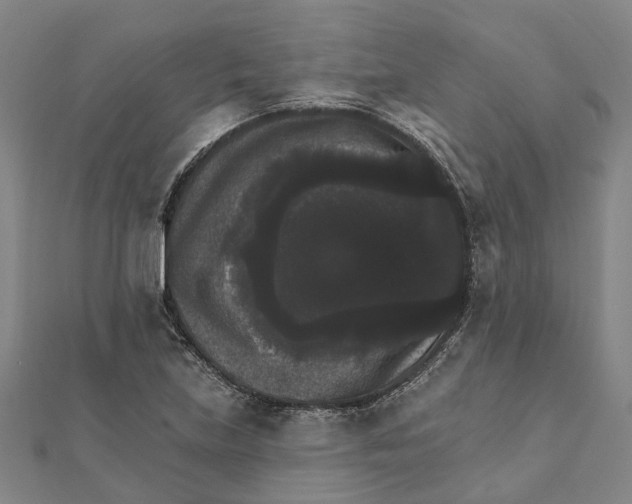 X0000111801219200908201146