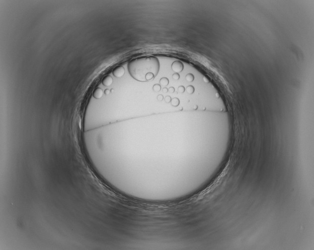 X0000111801221200908201146