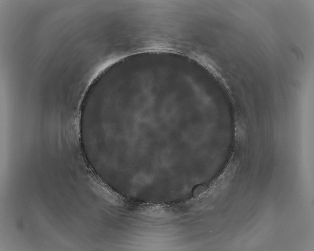 X0000111801222200908201146