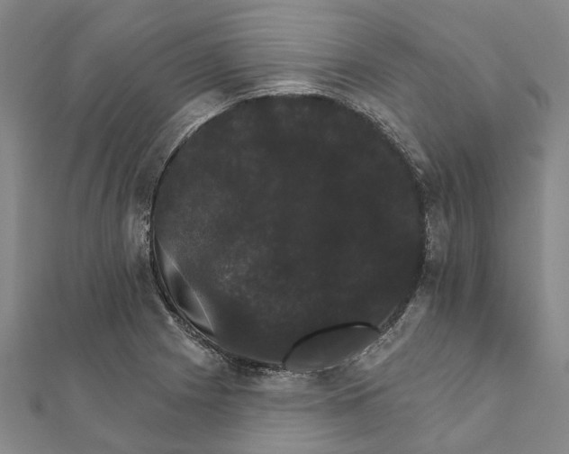 X0000111801225200908201146