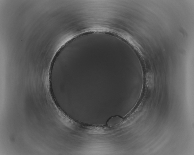 X0000111801229200908201146