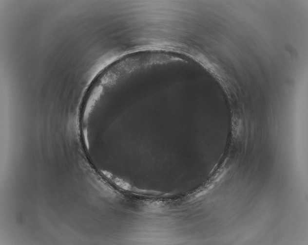 X0000111801230200908201146