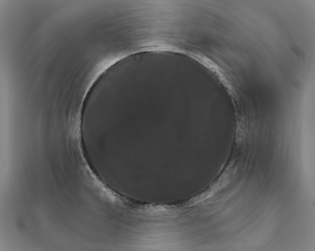 X0000111801231200908201146