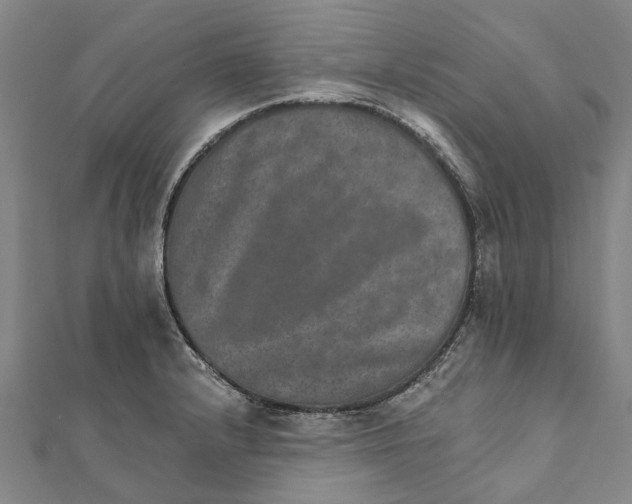X0000111801232200908201146