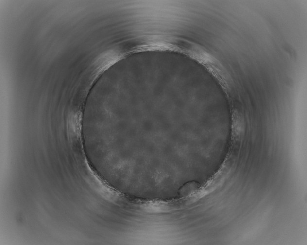 X0000111801233200908201146