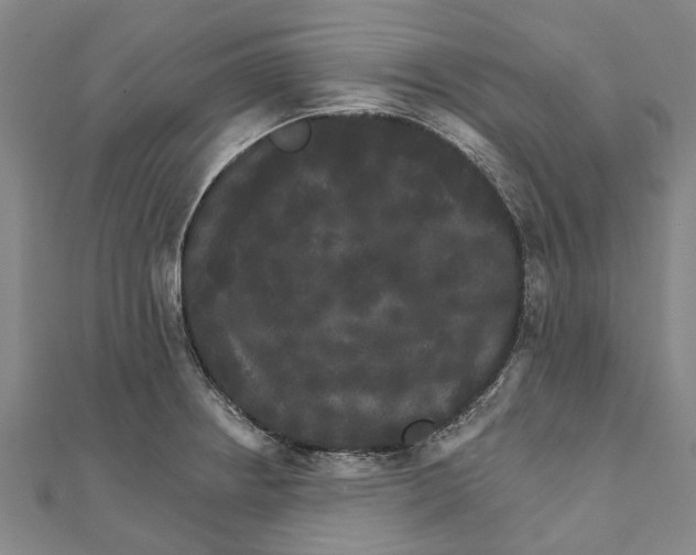 X0000111801234200908201146