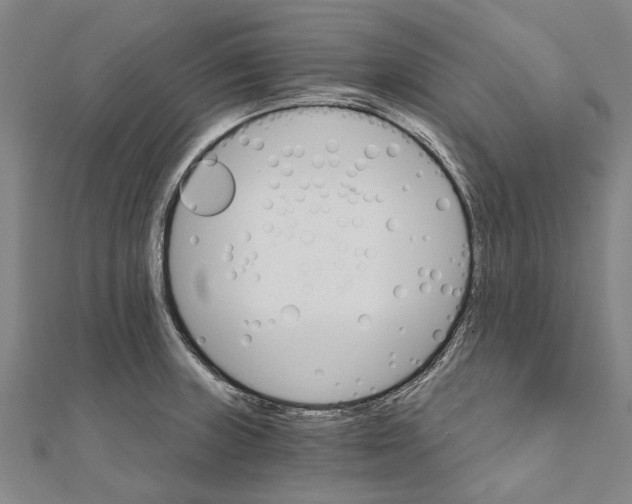 X0000111801235200908201146