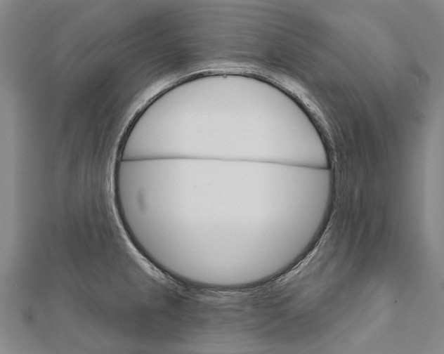 X0000111801237200908201146