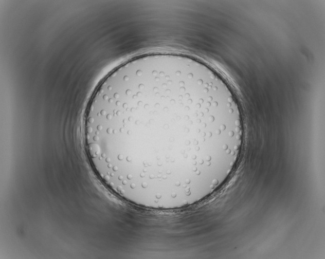 X0000111801238200908201146