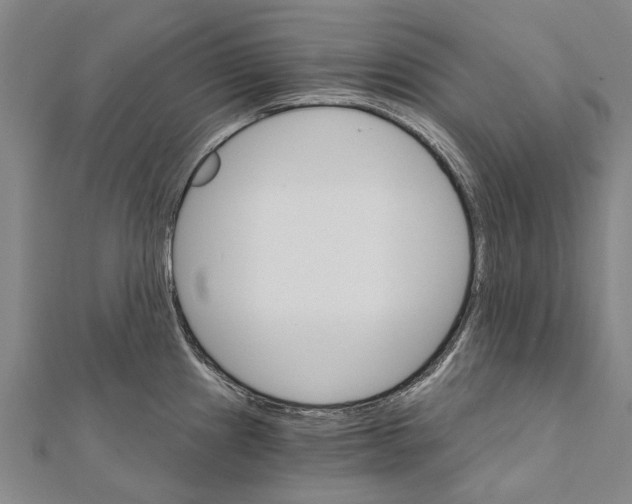X0000111801241200908201146