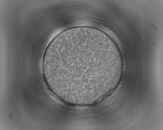 X0000111801242200908201146