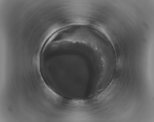 X0000111801243200908201146