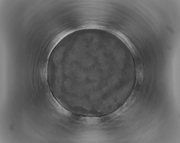 X0000111801244200908201146