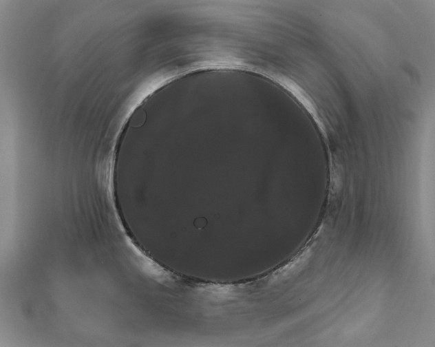 X0000111801245200908201146