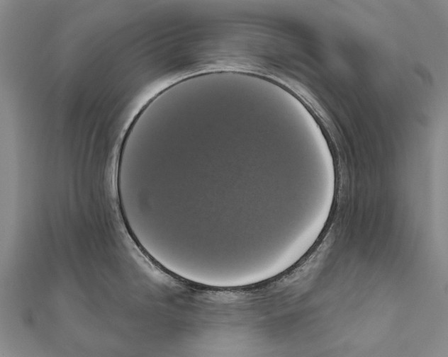 X0000111801246200908201146