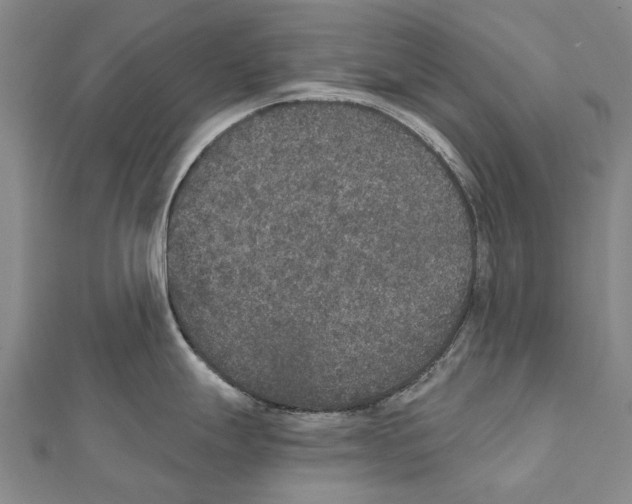 X0000111801247200908201146