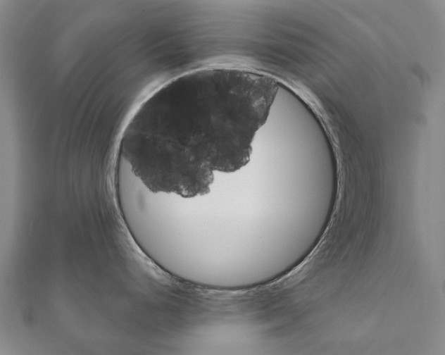 X0000111801248200908201146