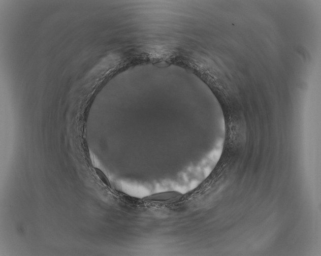 X0000111801249200908201146