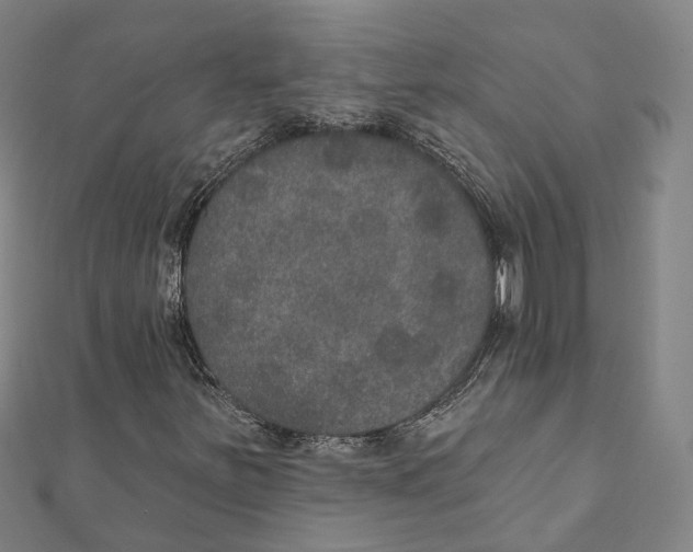 X0000111801251200908201145