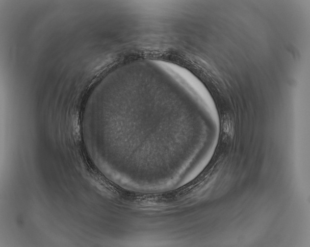 X0000111801252200908201145