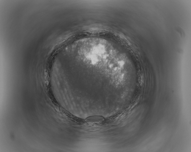 X0000111801253200908201145
