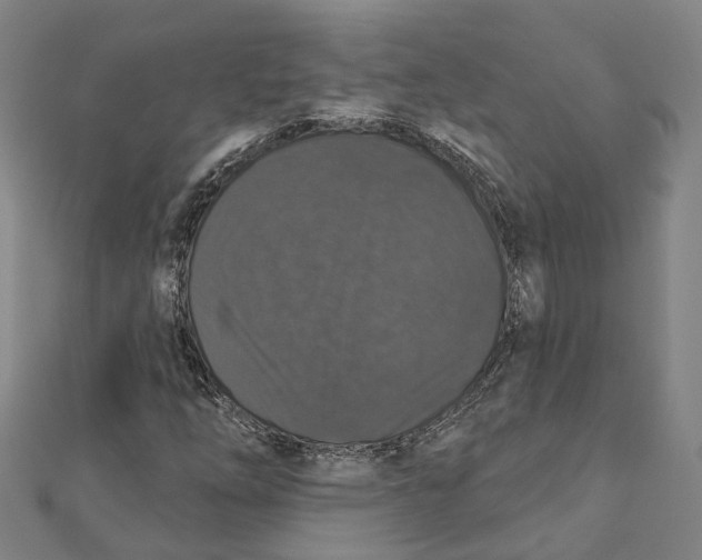 X0000111801254200908201145