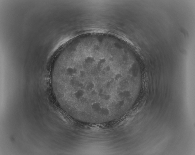 X0000111801255200908201145