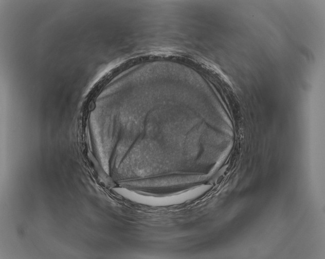 X0000111801256200908201145