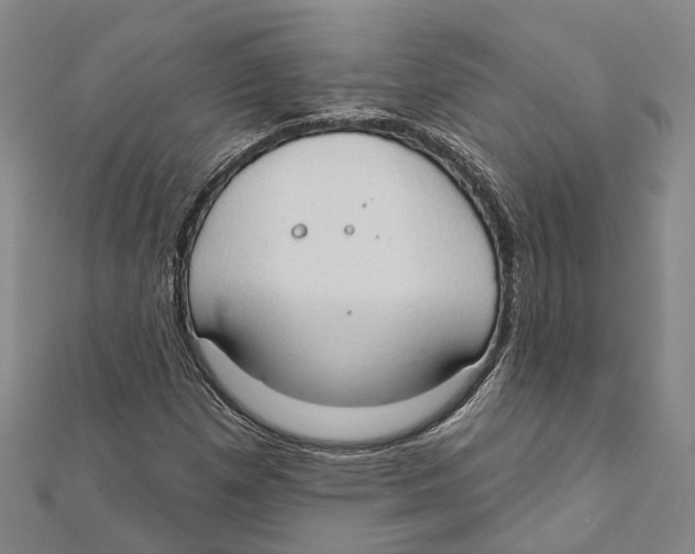 X0000111801257200908201145