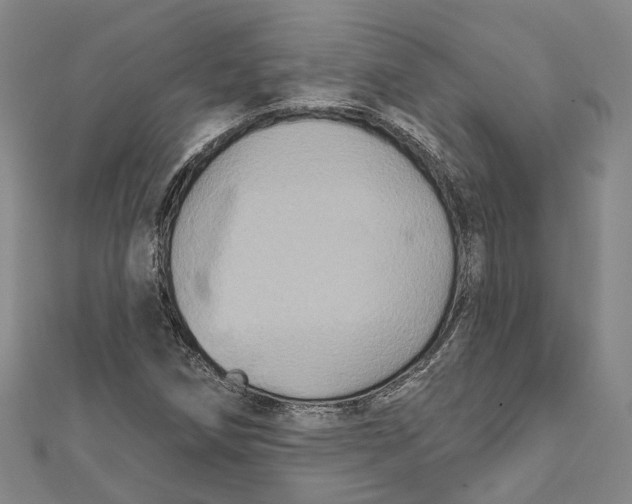 X0000111801258200908201145