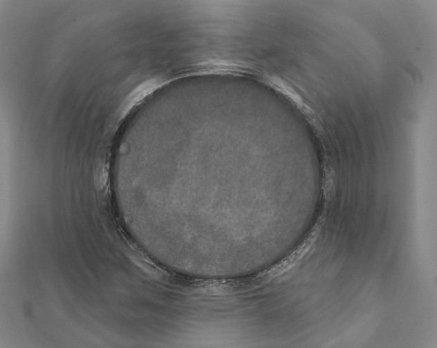 X0000111801259200908201145