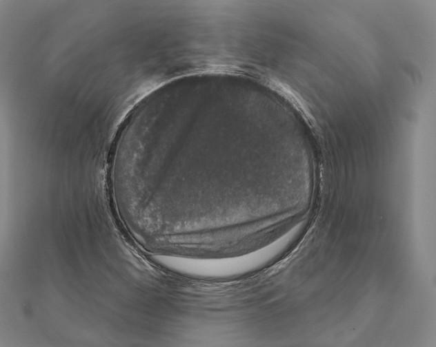X0000111801260200908201145