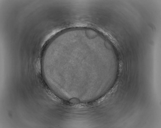 X0000111801262200908201145