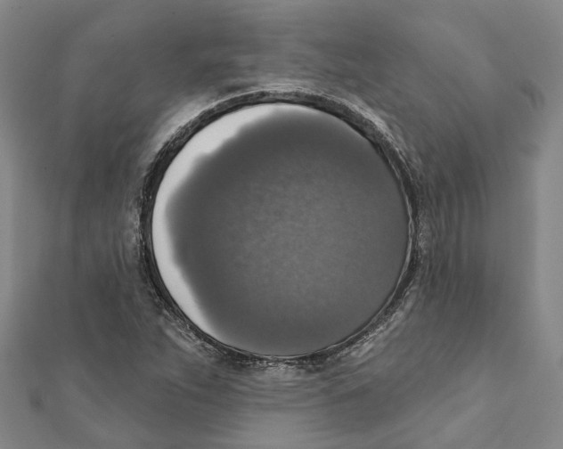X0000111801263200908201145