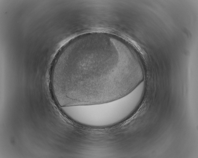 X0000111801264200908201145