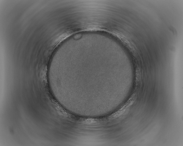 X0000111801265200908201145