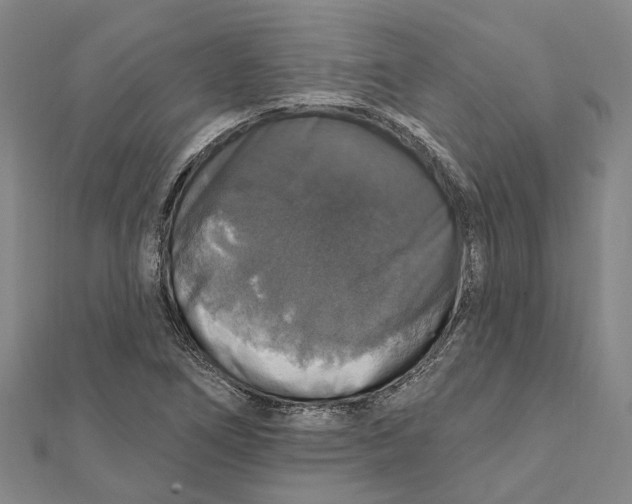 X0000111801266200908201145