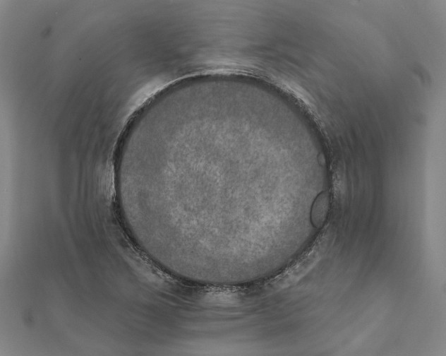 X0000111801267200908201145