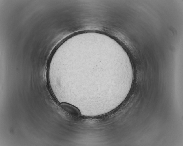 X0000111801268200908201145