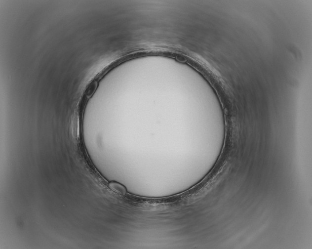 X0000111801269200908201145