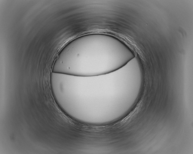 X0000111801273200908201145
