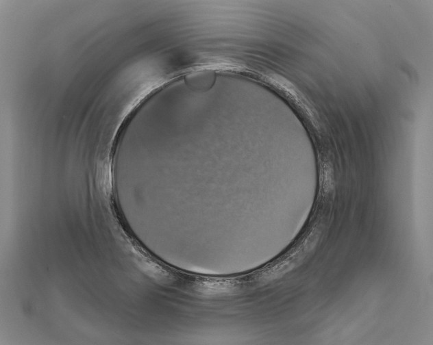 X0000111801274200908201145