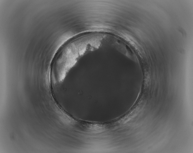 X0000111801275200908201145