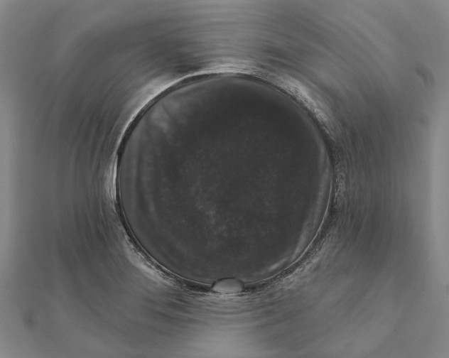 X0000111801276200908201145